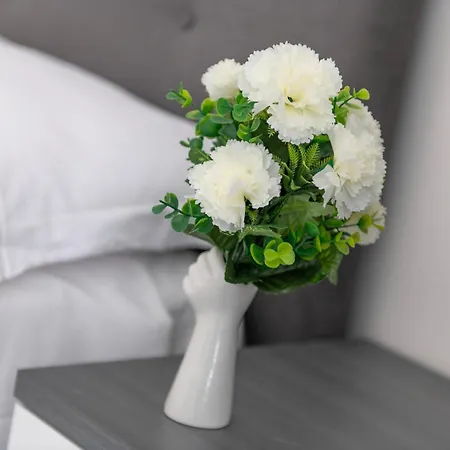 ゲストハウス Irooms Foria 215 4*